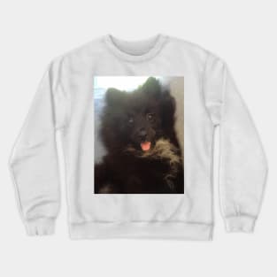 Pom Pom 11 Crewneck Sweatshirt